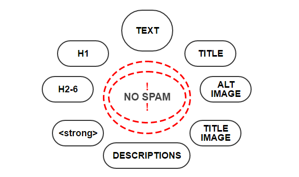 No Spam